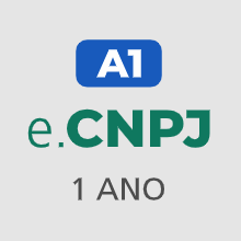 e-CNPJ A1 (1 ano)