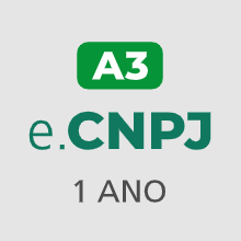 e-CNPJ A3 (1 ano)